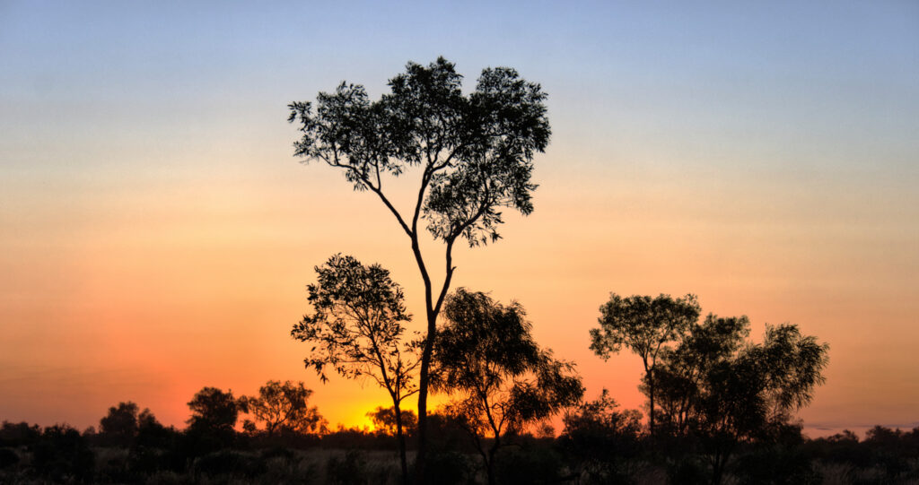 Alice S & AS to Jervouis Station and JS to Boulia